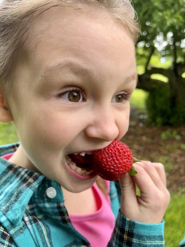 Children benefit nutritionally from organic strawberries