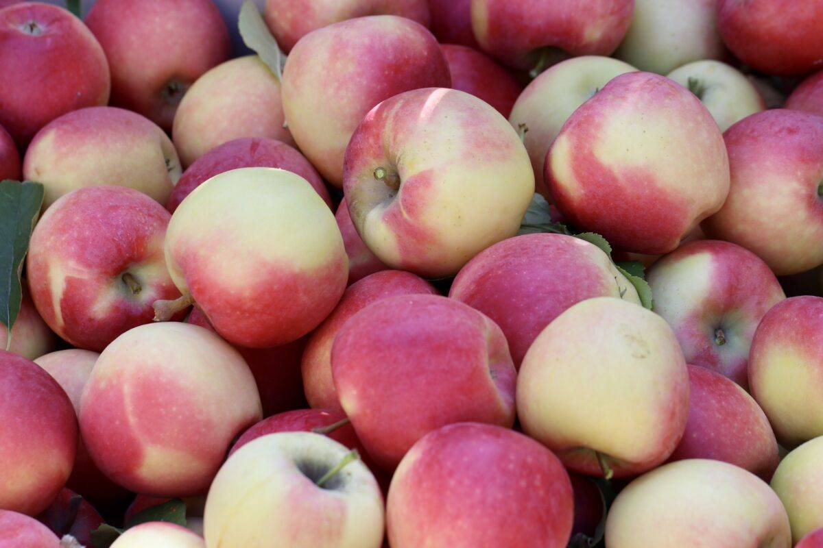 organic apples for glowing skin