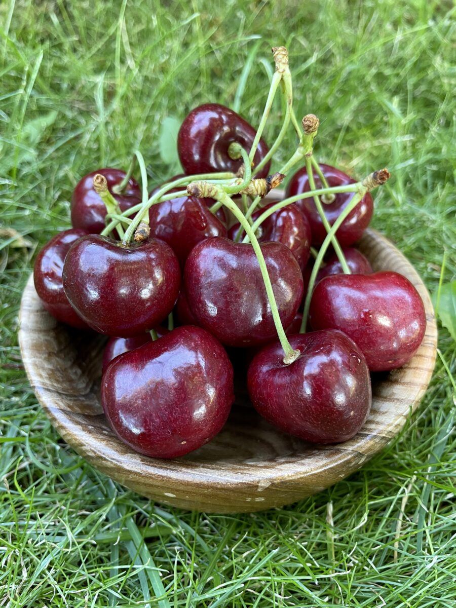 organic cherries have anti-inflammatory effects 