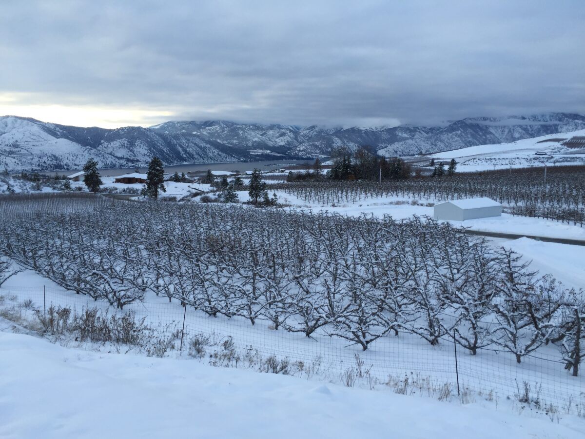 Winter iat Scofields