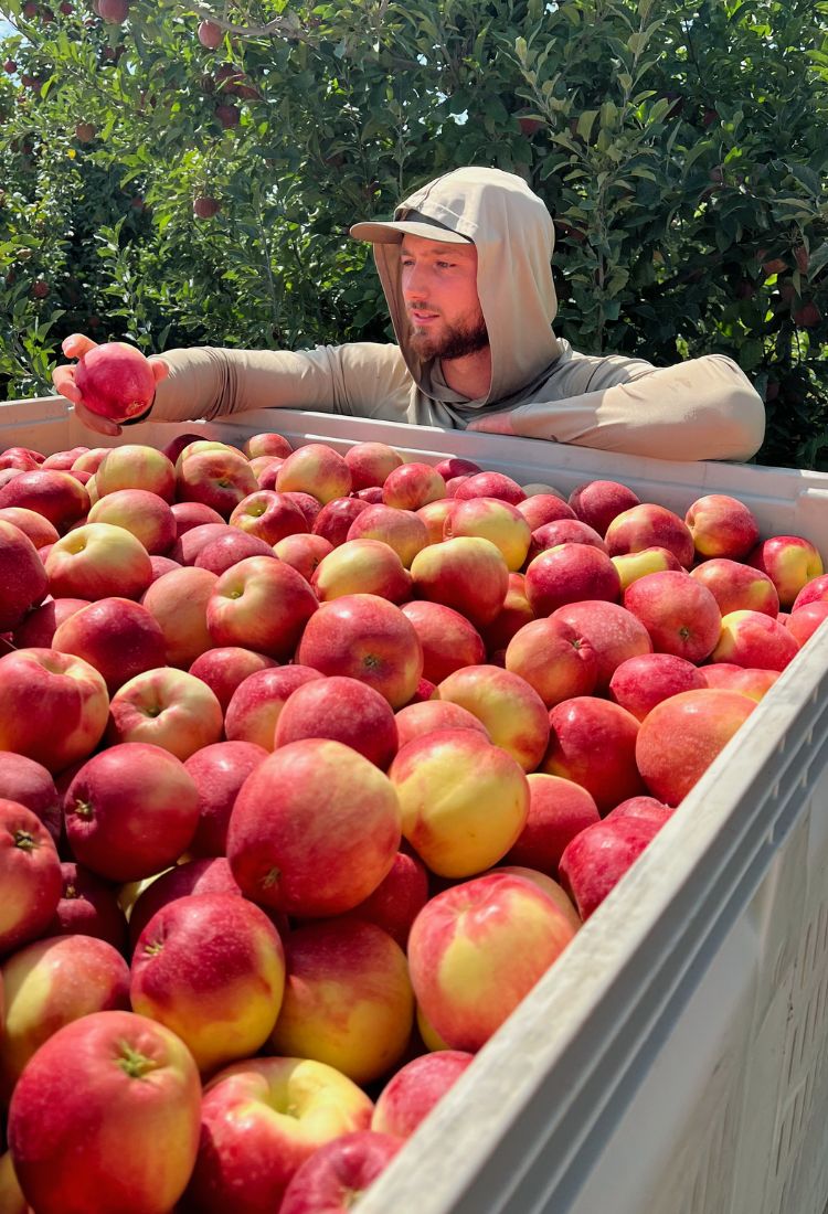 Our Chelan Ranch Horticulturalist