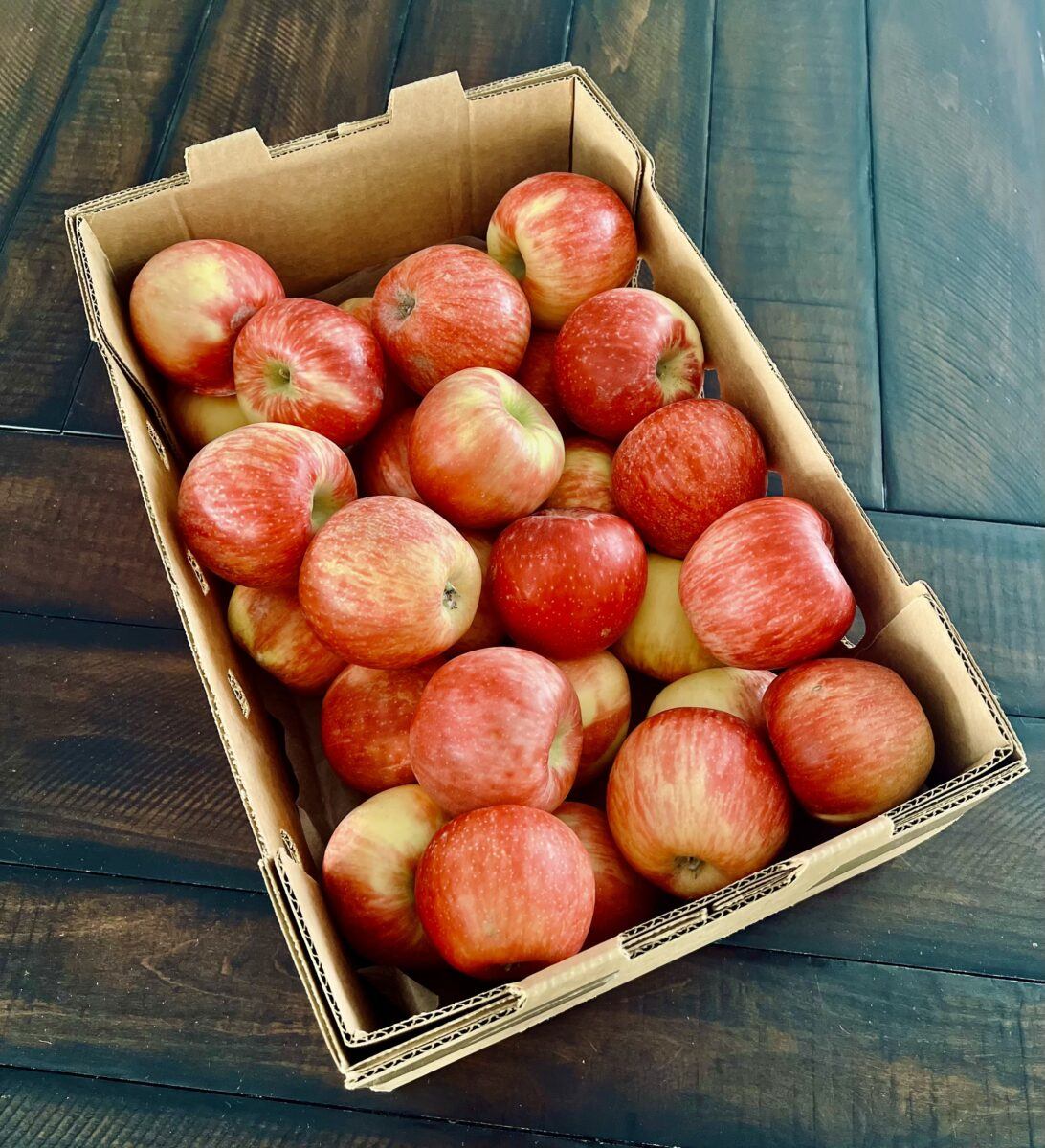 10 lbs of Organic Honeycrisp