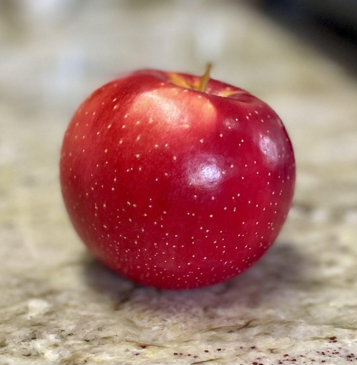 New crop Sweetango apple