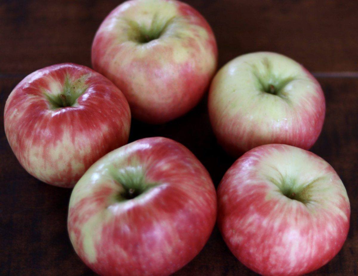 Organic whole Honeycrisp apples